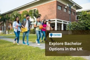 bachelor options in uk