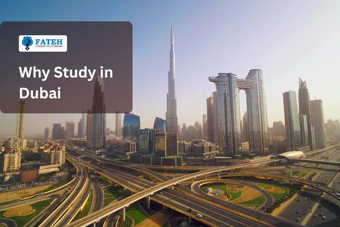 why study in dubai